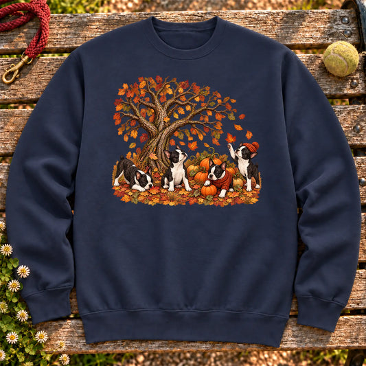 Four Boston Terrier puppies with pumpkins beneath an autumn tree on a Navy crewneck sweatshirt