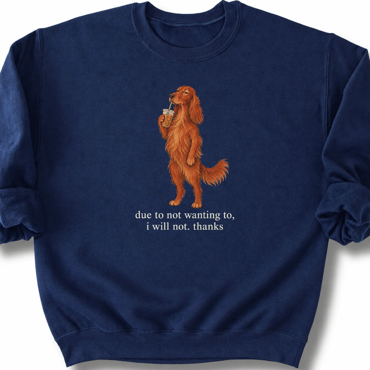 Irish Setter I Will Not design with iced coffee on a navy sweatshirt