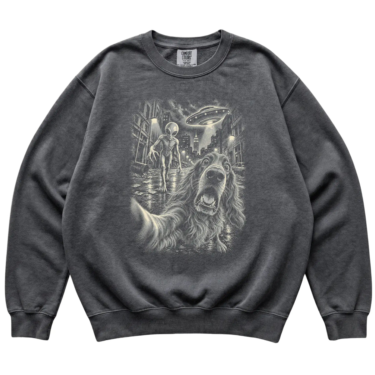 Irish Setter Alien Selfie Comfort Colors Sweatshirt in Pepper, flat view