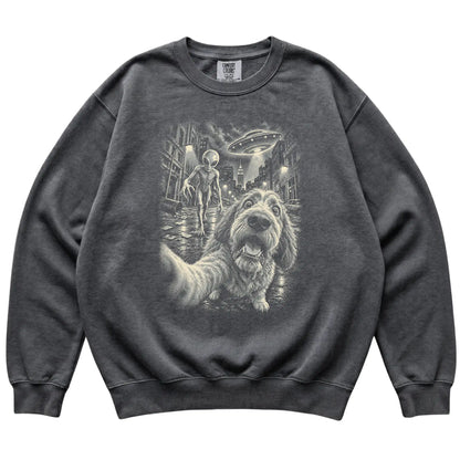 Labradoodle Alien Selfie Comfort Colors Sweatshirt in Pepper, flat view