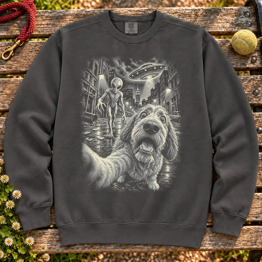 Labradoodle Alien Selfie sweatshirt in Pepper