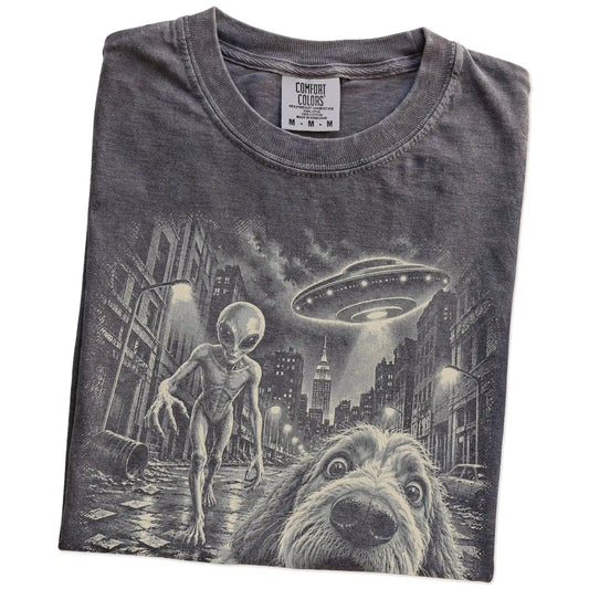 Labradoodle Alien Selfie Comfort Colors T-Shirt in Pepper, folded view