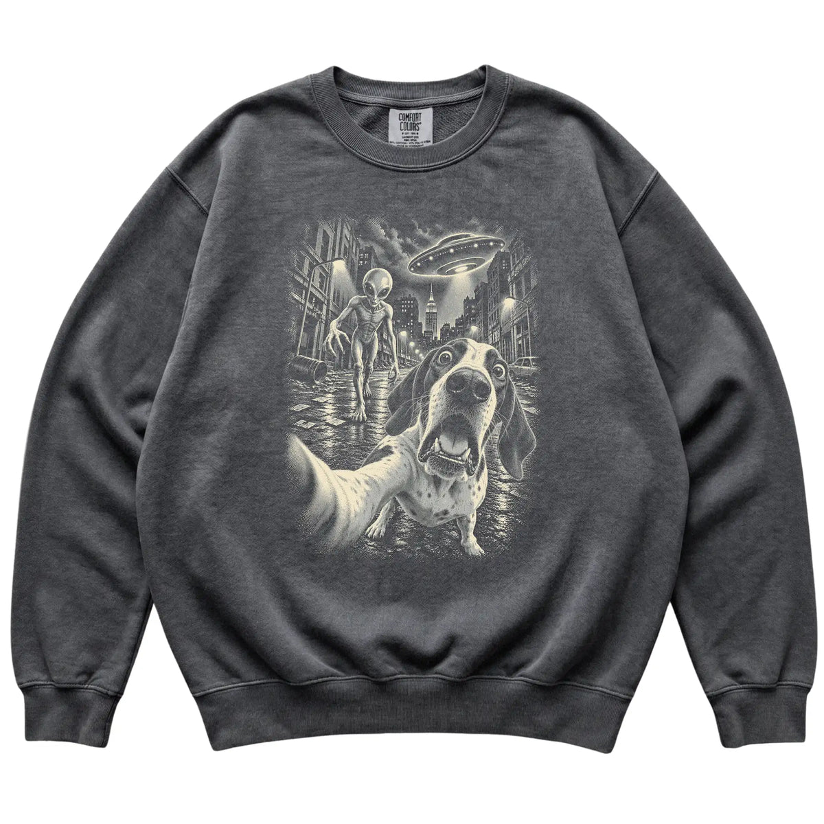 Pointer Alien Selfie Comfort Colors Sweatshirt in Pepper, flat view