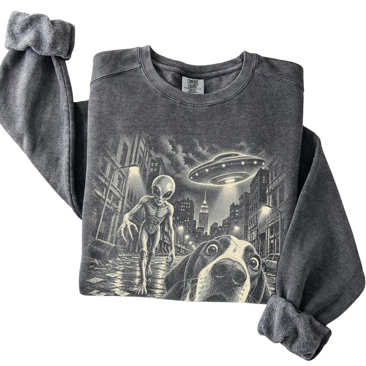 Pointer Alien Selfie Comfort Colors Sweatshirt in Pepper, folded view