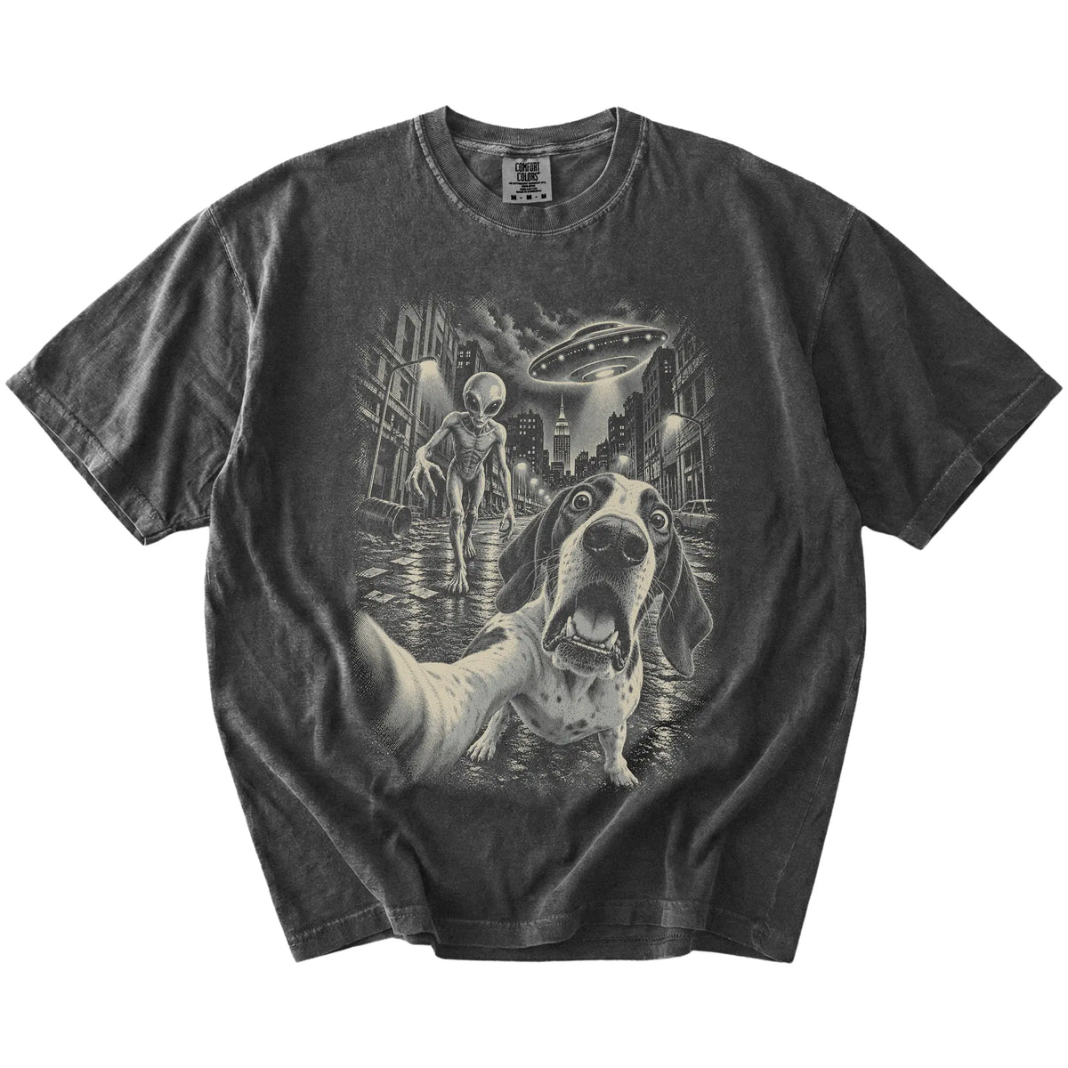 Pointer Alien Selfie Comfort Colors T-Shirt in Pepper, flat view