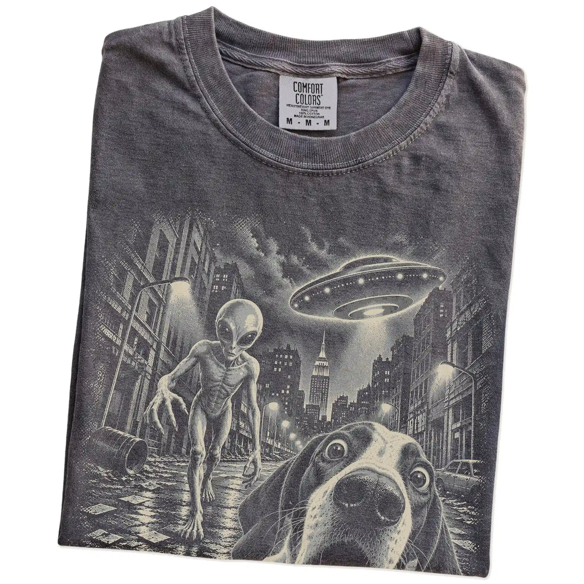 Pointer Alien Selfie Comfort Colors T-Shirt in Pepper, folded view