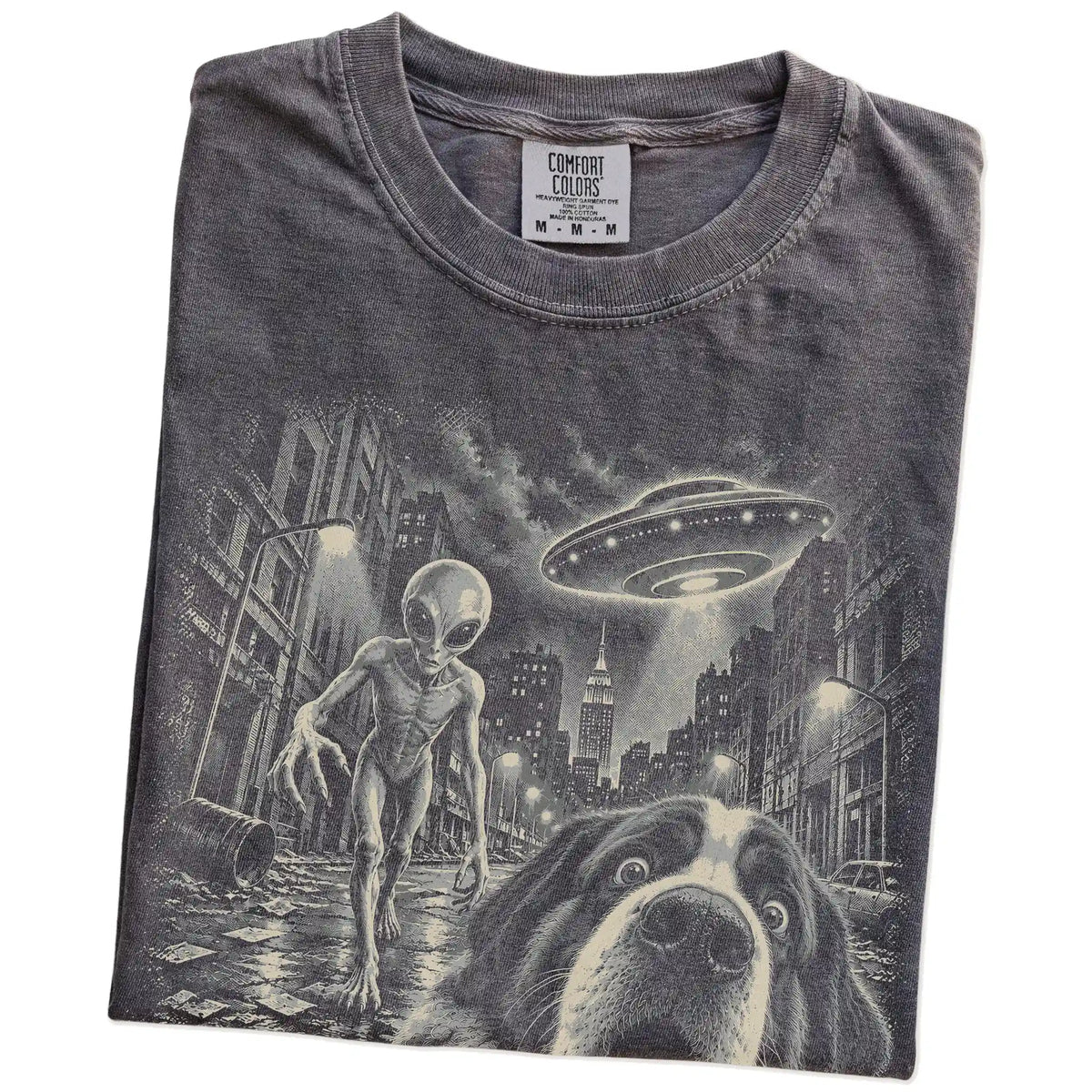 Saint Bernard Alien Selfie Comfort Colors T-Shirt in Pepper, folded view
