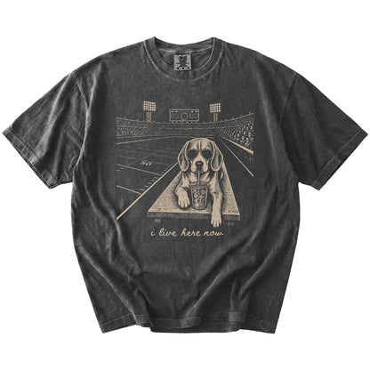 Beagle ready for football and tailgate season on a Pepper Comfort Colors® T-shirt