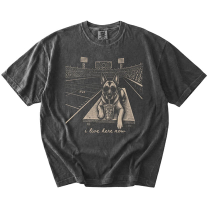 Belgian Malinois ready for football and tailgate season on a Pepper Comfort Colors® T-shirt