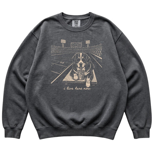 Pepper Bernese Mountain Dog Football Tailgate sweatshirt, laid flat