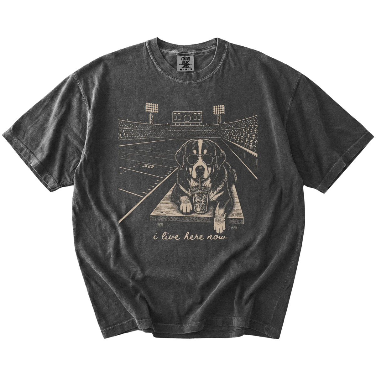 Bernese Mountain Dog ready for football and tailgate season on a Pepper Comfort Colors® T-shirt