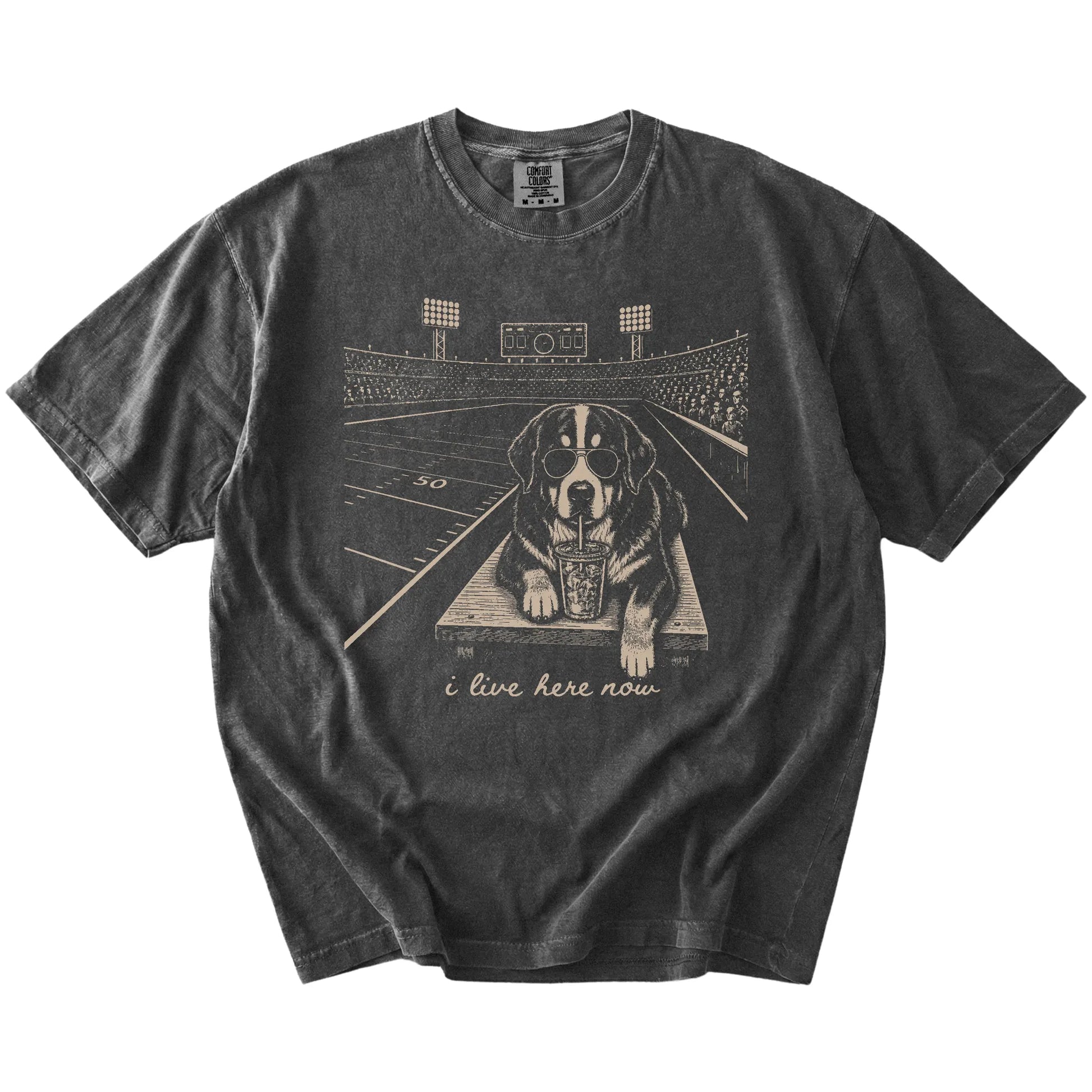 Bernese Mountain Dog ready for football and tailgate season on a Pepper Comfort Colors® T-shirt