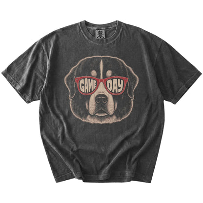 Bernese Mountain Dog wearing red Game Day sunglasses on a Pepper Comfort Colors® T-shirt
