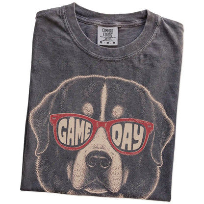 Folded Pepper Comfort Colors® T-shirt showing bernese mountain dog wearing red game day sunglasses