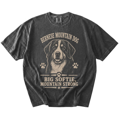Bernese Mountain Dog design with “Big Softie, Mountain Strong” lettering on a Pepper Comfort Colors® T-shirt
