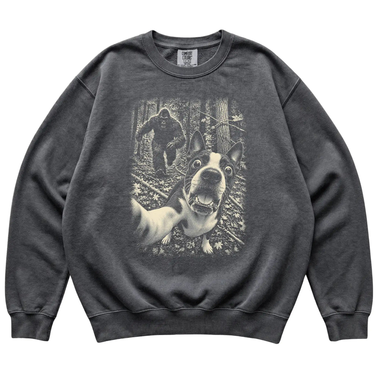 Pepper Boston Terrier Bigfoot selfie sweatshirt, full garment view