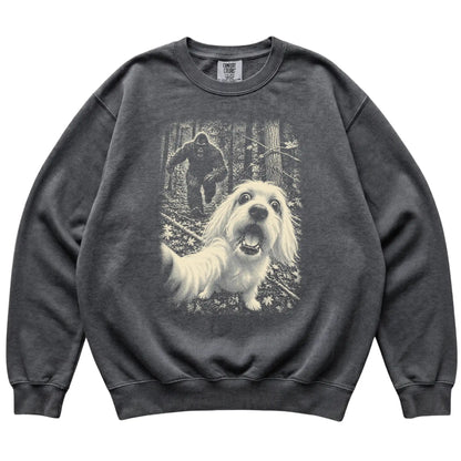 Pepper Maltese Bigfoot selfie sweatshirt, full garment view