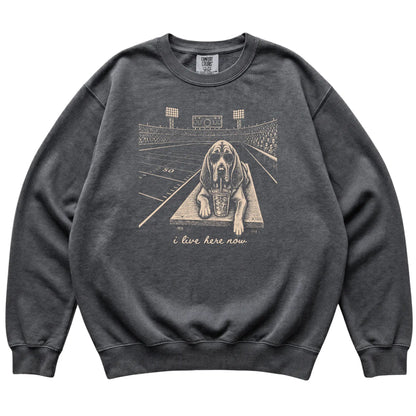 Pepper Bloodhound Football Tailgate sweatshirt, laid flat