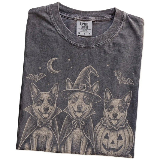 Folded Pepper Comfort Colors® T-shirt showing three Blue Heeler dogs dressed for Halloween beneath bats and a crescent moon