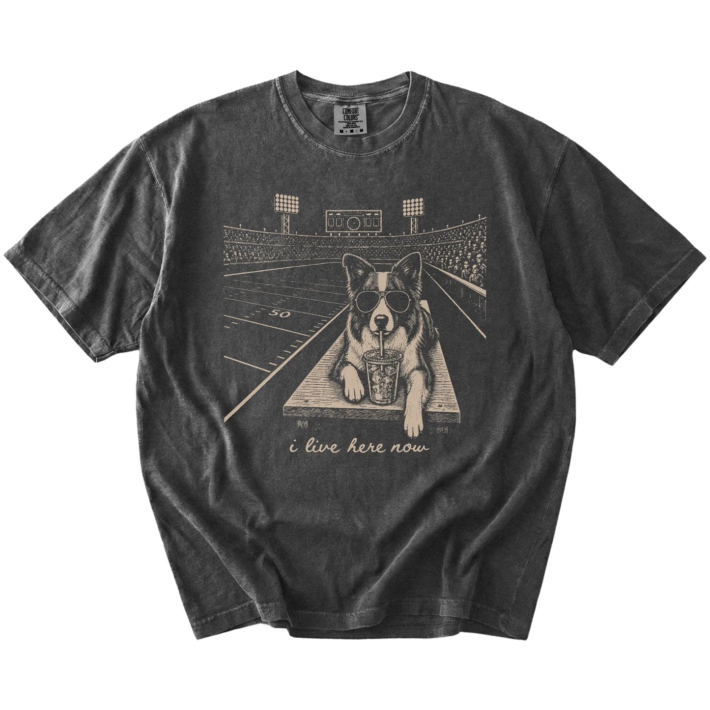 Border Collie ready for football and tailgate season on a Pepper Comfort Colors® T-shirt