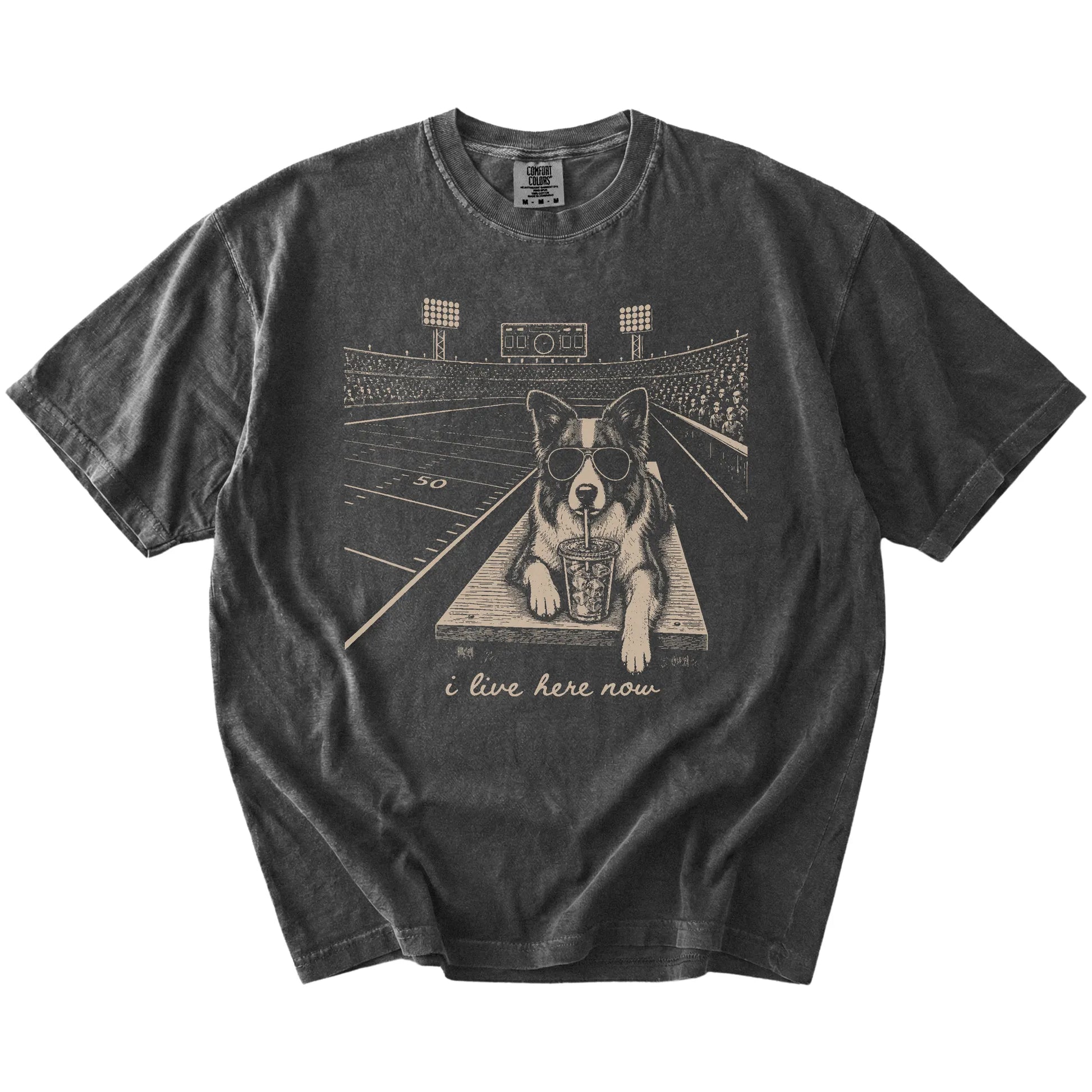 Border Collie ready for football and tailgate season on a Pepper Comfort Colors® T-shirt