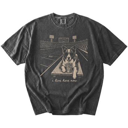 Border Collie ready for football and tailgate season on a Pepper Comfort Colors® T-shirt