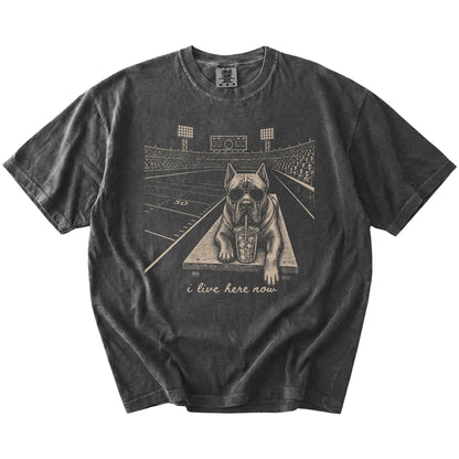 Cane Corso ready for football and tailgate season on a Pepper Comfort Colors® T-shirt