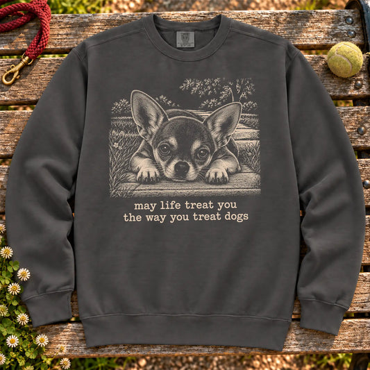 Chihuahua Karma sweatshirt in Pepper