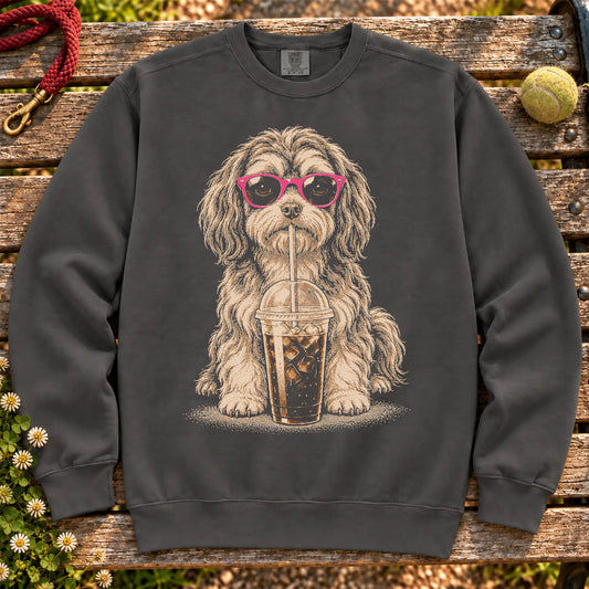 Havanese drinking cold coffee in pink sunglasses on Pepper sweatshirt