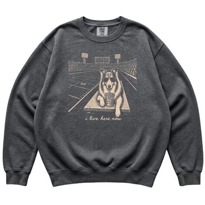 Pepper Collie Football Tailgate sweatshirt, laid flat