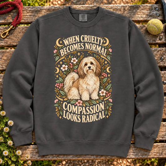 Compassion Looks Radical Havanese design on a Pepper Comfort Colors sweatshirt
