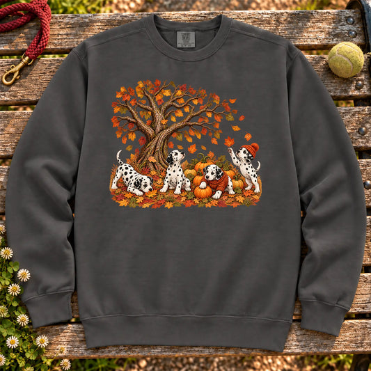 Four Dalmatian puppies with pumpkins beneath an autumn tree on a Pepper garment-dyed sweatshirt