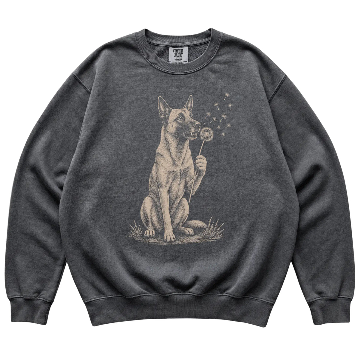 Pepper Comfort Colors® sweatshirt featuring Dandelion Belgian Malinois, laid-flat presentation