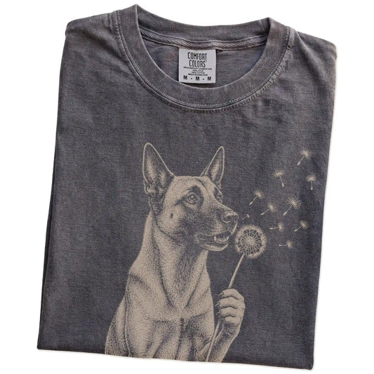 Folded Pepper Comfort Colors® T-shirt showing Belgian Malinois portrait with drifting dandelion seeds