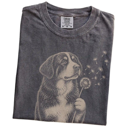 Folded Pepper Comfort Colors® T-shirt showing Bernese Mountain Dog portrait with drifting dandelion seeds