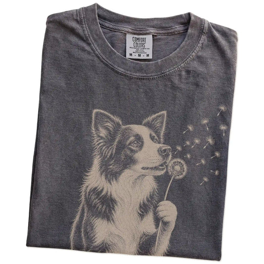 Folded Pepper Comfort Colors® T-shirt showing Border Collie portrait with drifting dandelion seeds