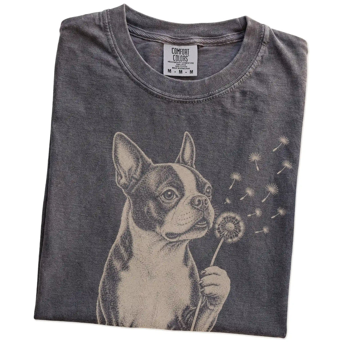 Folded Pepper Comfort Colors® T-shirt showing Boston Terrier portrait with drifting dandelion seeds