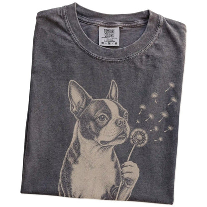 Folded Pepper Comfort Colors® T-shirt showing Boston Terrier portrait with drifting dandelion seeds