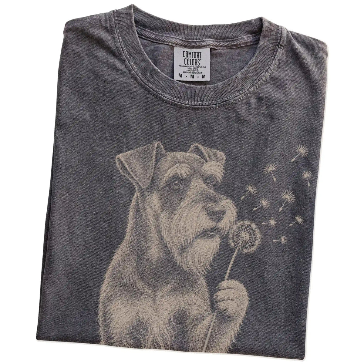 Folded Pepper Comfort Colors® T-shirt showing Standard Schnauzer portrait with drifting dandelion seeds