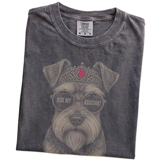 Folded Pepper Diva Schnauzer T-Shirt showing the graphic