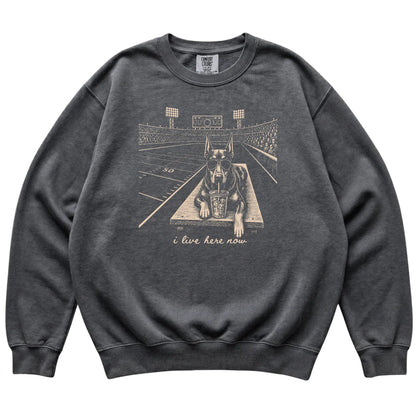 Pepper Doberman Football Tailgate sweatshirt, laid flat