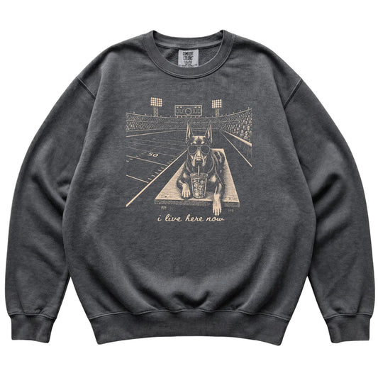 Pepper Doberman Football Tailgate sweatshirt, laid flat
