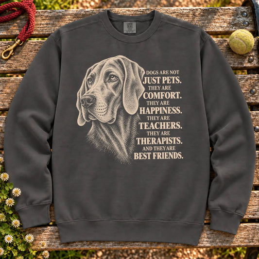 Dogs Are Not Just Pets Weimaraner text design on a Pepper Comfort Colors sweatshirt