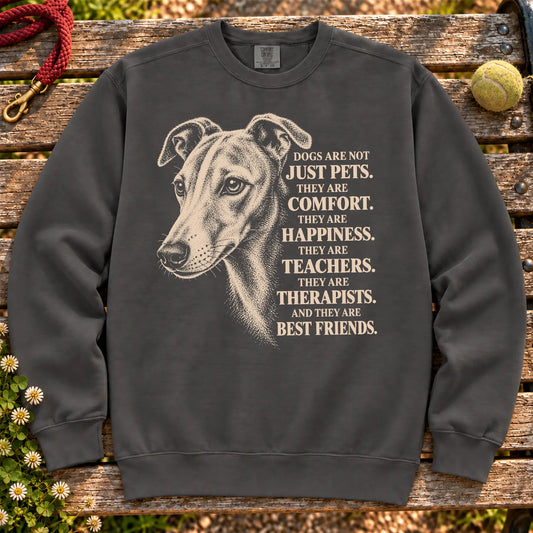 Dogs Are Not Just Pets Whippet text design on a Pepper Comfort Colors sweatshirt