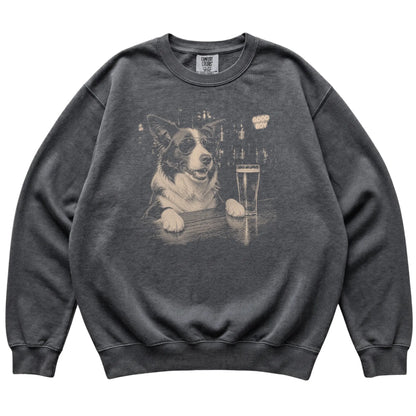 Pepper Border Collie at a bar beside a pint, laid flat