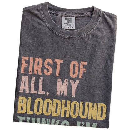 Folded Pepper Comfort Colors® T-shirt showing “My Bloodhound thinks I’m delightful” text