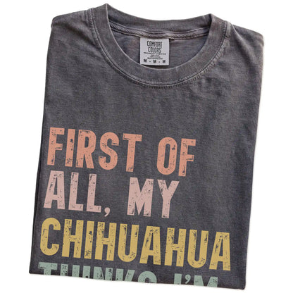 Folded Pepper Comfort Colors® T-shirt showing “My Chihuahua thinks I’m delightful” text
