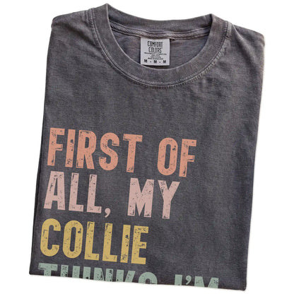 Folded Pepper Comfort Colors® T-shirt showing “My Collie thinks I’m delightful” text
