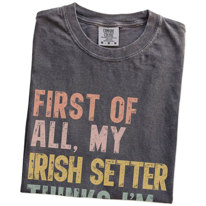 Folded Pepper Comfort Colors® T-shirt showing “My Irish Setter thinks I’m delightful” text