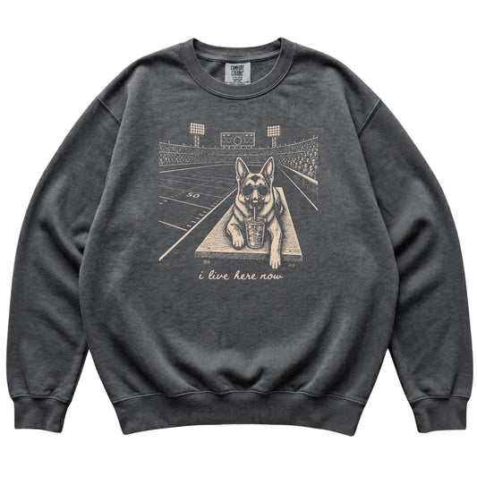 Pepper German Shepherd Football Tailgate sweatshirt, laid flat